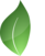 SciZenna Logo